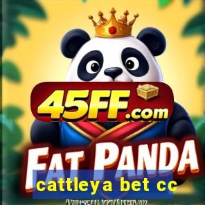 cattleya bet cc
